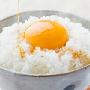 熊本県菊池産 ヒノヒカリ 5kg×2袋 計10kg 精米 お米 白米 令和5年産