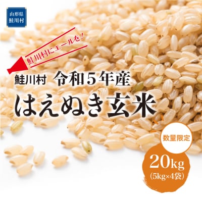 鮭川村にエールを!　令和5年産　はえぬき20kg(10kg×2袋)