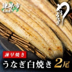  うなぎ白焼き2尾