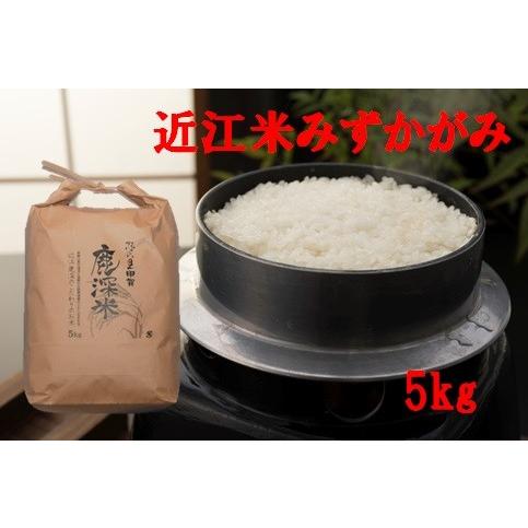 送料無料！令和5年産　特別栽培米「みずかがみ」　5ｋｇ