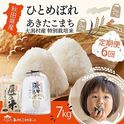 ふるさと納税 秋田市 秋田県産ひとめぼれ5kg・大潟村ふると米2kg食べ比べセット 全6回