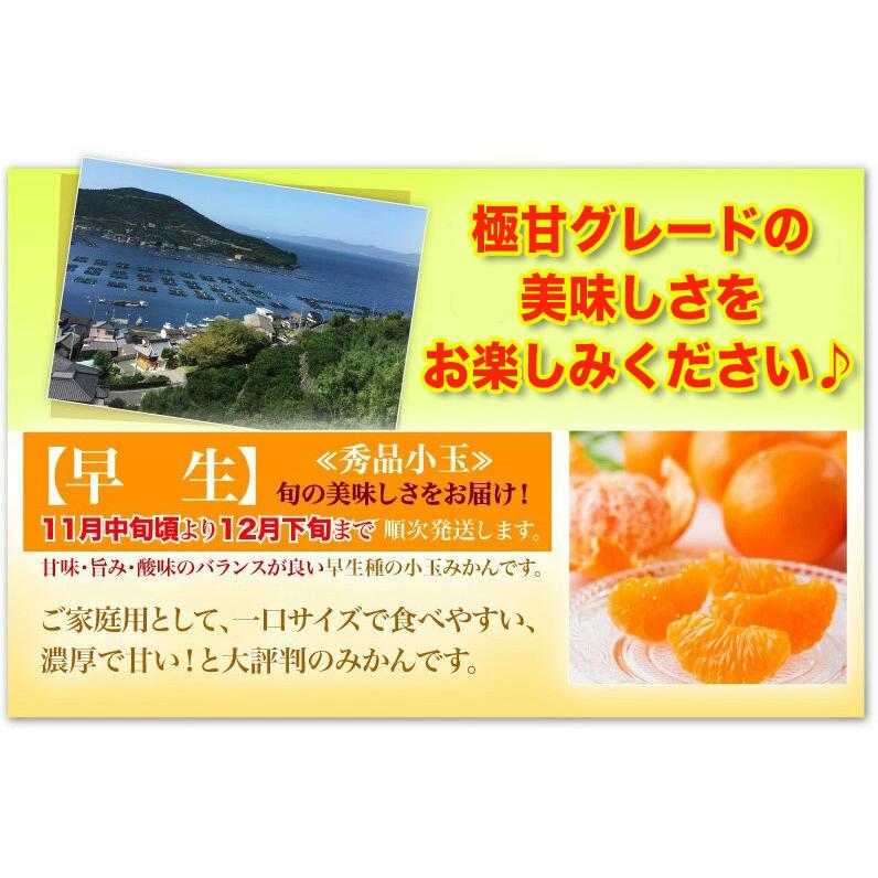 ポイント5倍 みかん 送料無料 訳あり 5kg 愛媛 家庭用 早生 JAにしうわ 川上共選 天皇杯受賞 川上小玉 小蜜柑 2Sサイズ 果物 フルーツ 産地直送 J常