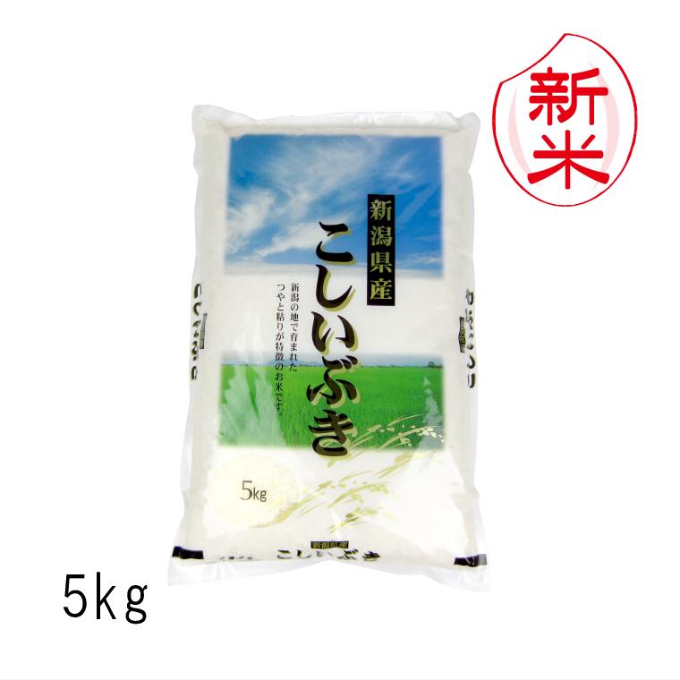 お米 5kg 新潟県産 こしいぶき （ 令和5年産 ） 5kg  白米 玄米 選べます