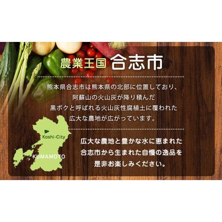 ふるさと納税 熊本県 合志の旬のお野菜 定期便 年5回 コース 熊本県合志市