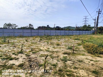 仁武觀音湖段都內農地A8						 					｜高雄市仁武區觀音湖段