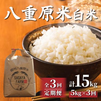 ふるさと納税 東御市 八重原米 精米 5kg (5kg×1袋)