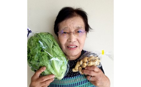 「TACHIARAI」おいしかぁ～便 (夢つくし2kg入) 野菜の詰め合わせ 9～12品