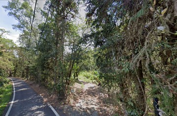 專任南投九族文化村旁保有原始森林美農地｜南投縣魚池鄉九族段