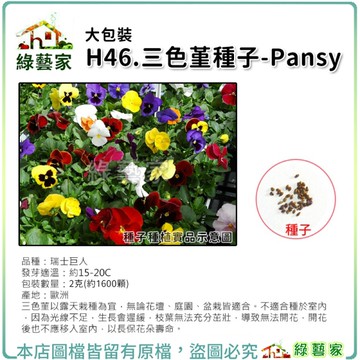 【綠藝家】大包裝00H46.三色堇種子2克(約1600顆)