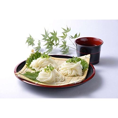 五島うどん 240g×5袋（1袋約3人前）椿油使用  送料無料 ギフト 贈り物にもおすすめ 乾麺