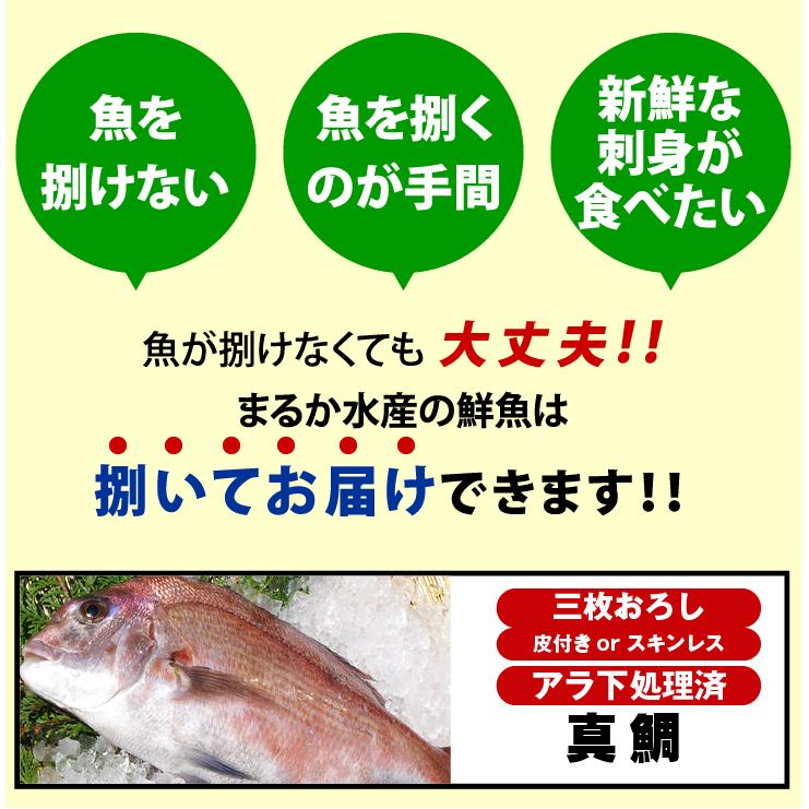 活〆 真鯛 捌いてお届け！  普通サイズ 1尾 1.0kg　[魚介類]