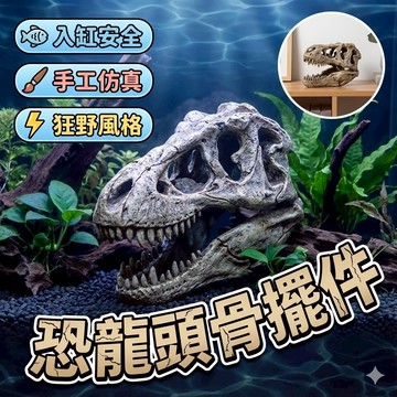 【台灣出貨】巨獸恐龍頭骨擺件｜魚缸造景樹脂裝飾｜水族箱萬聖節擺飾｜仿真龍骨頭模型｜水族擺件裝飾品