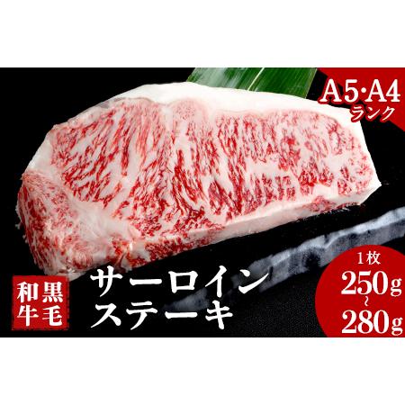 ふるさと納税 A5 A4 ランク 厳選 くまもと黒毛和牛 サーロインステーキ 1枚(250g-280g)《30日以内に順次出荷(土日祝除く)》 熊本県 大津町 和牛.. 熊本県大津町