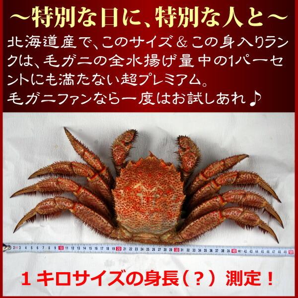 北海道産 ボイル 毛ガニ 1kg 数量限定 オホーツク けがに ケガニ 毛蟹 特大 カニミソ 超特大 父の日