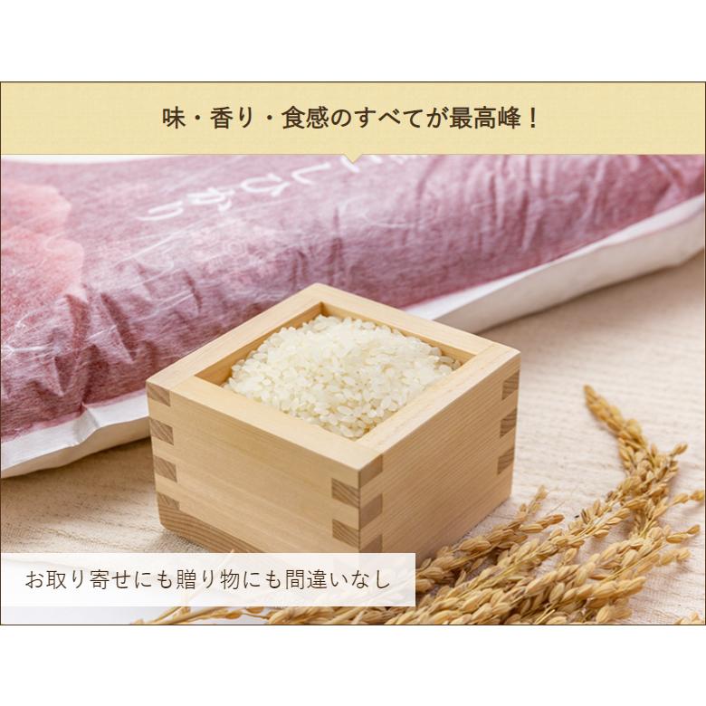 魚沼産 コシヒカリ 精米10kg（5kg×2）新潟農商 のし無料 送料無料