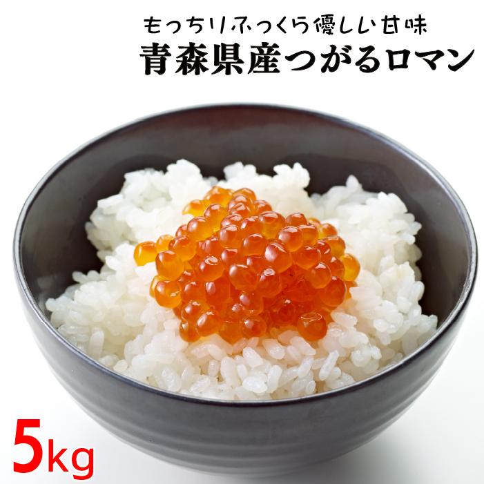 新米 令和5年産 つがるロマン 5kg お米 白米 精米 青森県産 送料無料