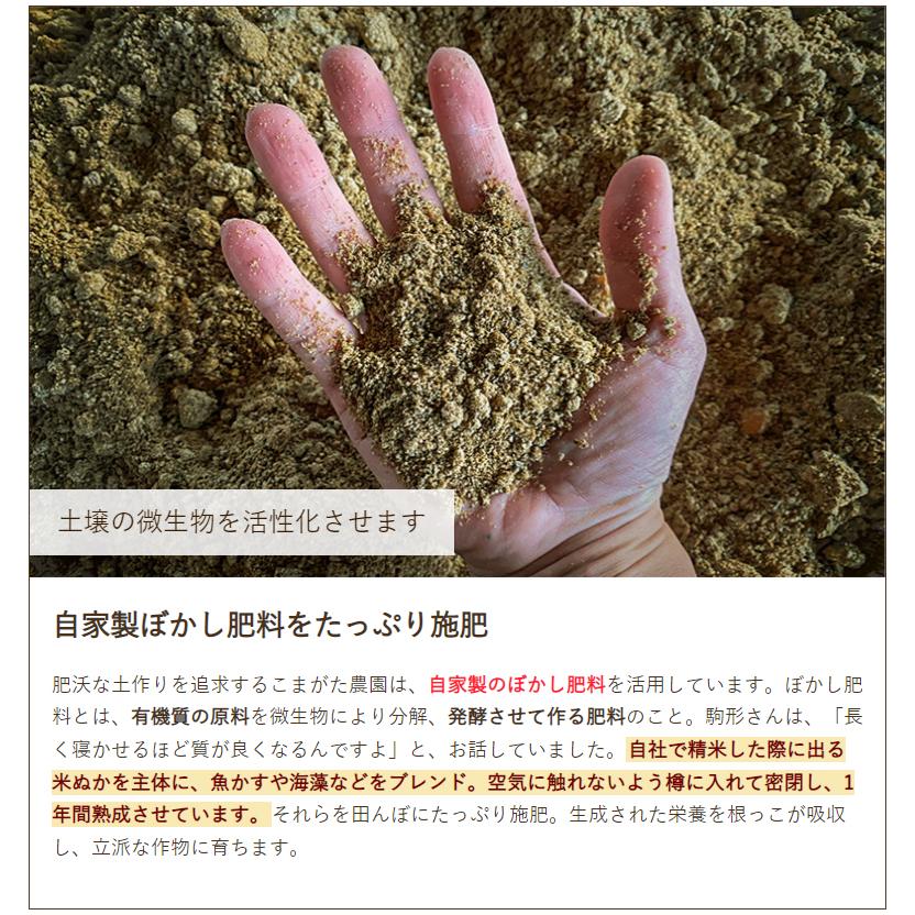 南魚沼産コシヒカリ「雪室熟成 こまがた家のお米」（特別栽培米）玄米5kg こまがた農園 送料無料