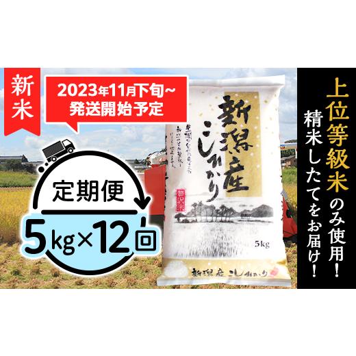 ふるさと納税 新潟県 胎内市 K512新潟県産コシヒカリ5kg