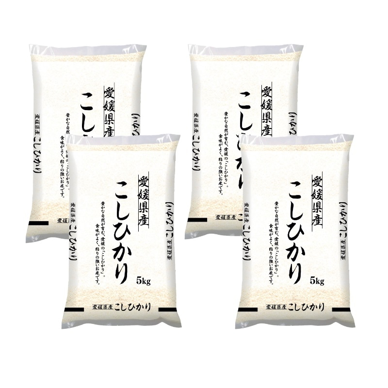 令和4年産 愛媛県産 こしひかり 20kg 米 お米 白米 おこめ 精米 単一原料米 ブランド米 20キロ 国内産 国産