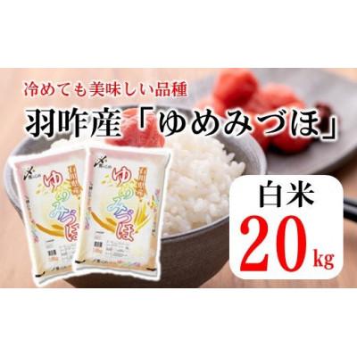 ふるさと納税 羽咋市 石川県産　ゆめみづほ　20kg(10kg×2袋)　白米