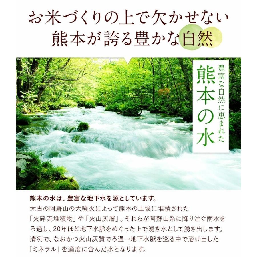 米 10kg 送料無料 無洗米 5kg ×2袋 お米 国産 白米 令和4年産 ブランド米 6割使用 ふるさと無洗米 熊本 7-14営業以内発送予定(土日祝除)