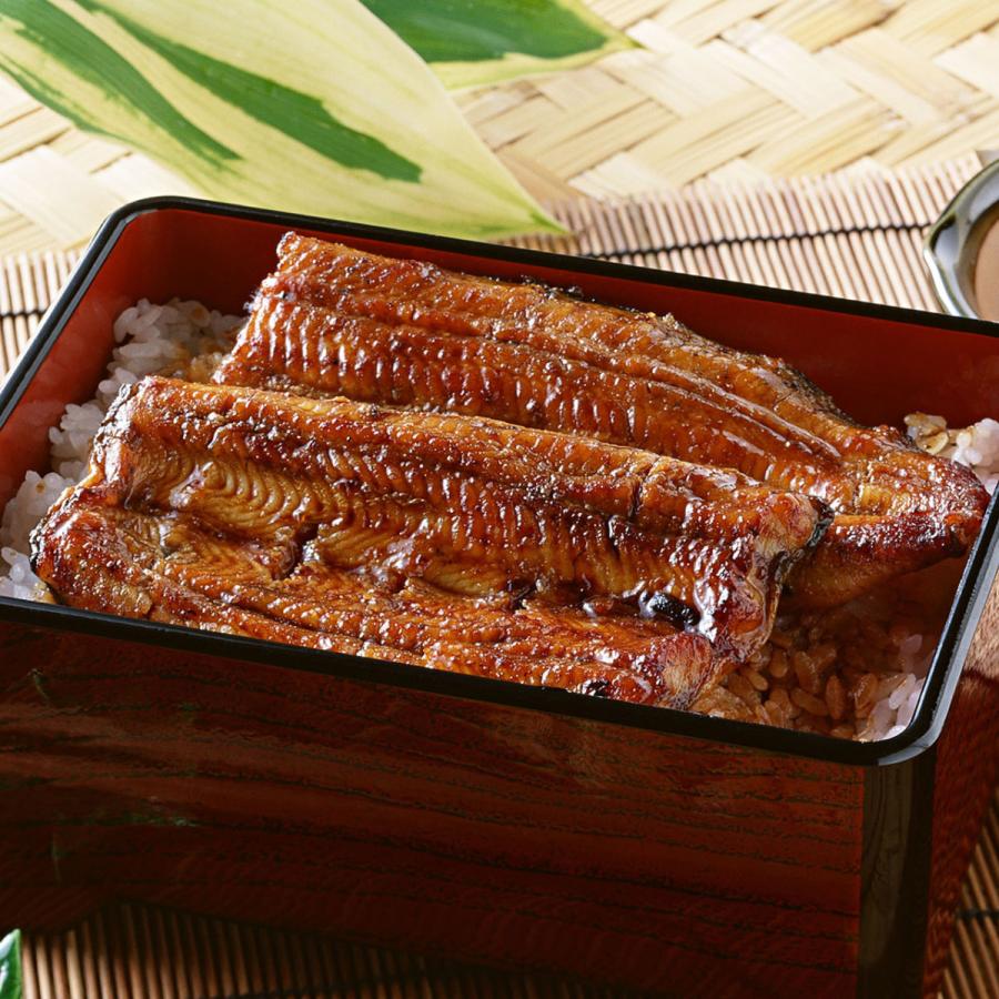 浜名湖うなぎ 蒲焼き 2人前 110g×2袋 たれ・山椒・吸い物付き 静岡県浜松産