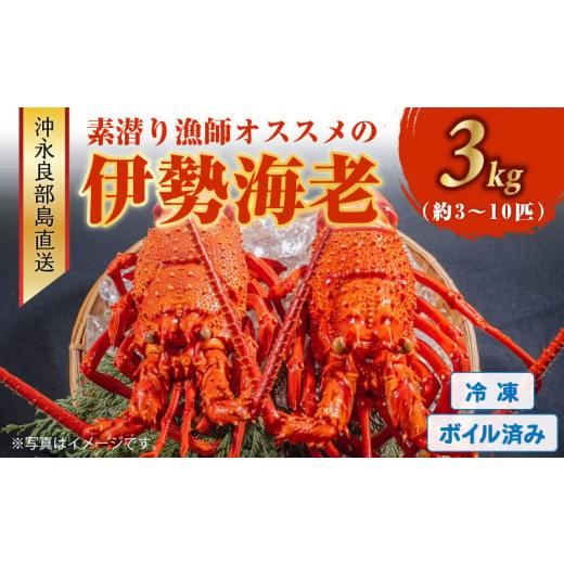 ふるさと納税 鹿児島県 和泊町 ■ボイル済み　伊勢エビ冷凍　3kg