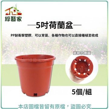 【綠藝家】5吋荷蘭盆(栽培盆) 5個/組