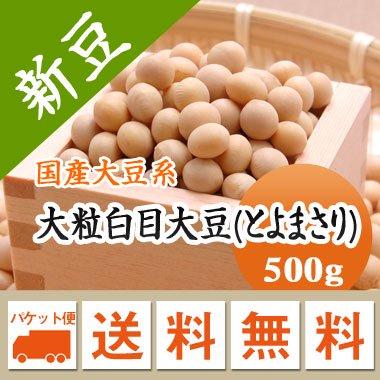 豆 大豆 とよまさり 北海道産 令和４年産 メール便 送料無料 500ｇ  ※日時指定不可・代引不可・同梱不可商品