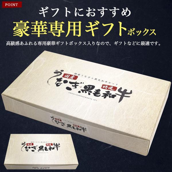 国産うなぎ 黒毛和牛 ギフトセット クール冷凍便 日時指定可 国産 黒毛和牛 モモ切り落とし 180g うなぎ 1尾 鰻 ウナギ お肉 牛肉
