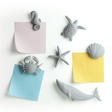 QUALY 海潮之生磁鐵(兩入組) - 海龜-海星