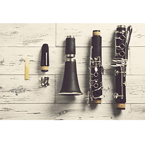 Suewio Bb Clarinet Traditional Reeds, Strength 2.5, 10 Pack with Portable C