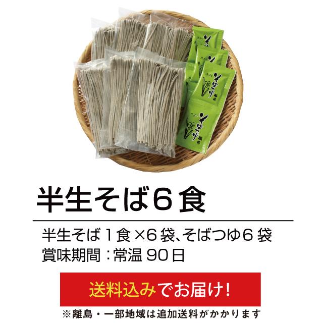 お歳暮 年越しそば「半生そば6食」お土産 越前そば 年末年始 日持ちそば  国産 乾麺 グルメ