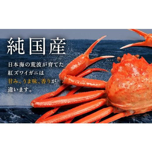 ふるさと納税 福井県 越前市 刺身もOK！越前産 カット済み紅ズワイガニ600g＜熨斗も可＞カニポーション（ハーフ）足棒 かに肩 蟹爪 爪下　の…