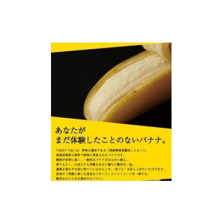 ふるさと納税 国産バナナNEXT716 「12本」　レギュラーサイズ 宮崎県川南町