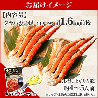 ふるさと納税 弟子屈町 タラバガニ足 1.6kg 3~4人前 蟹ハサミ・ガイド付 北海道 弟子屈町 1735