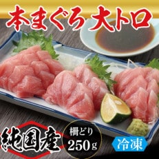 本まぐろ 大トロ 250g(柵どり)