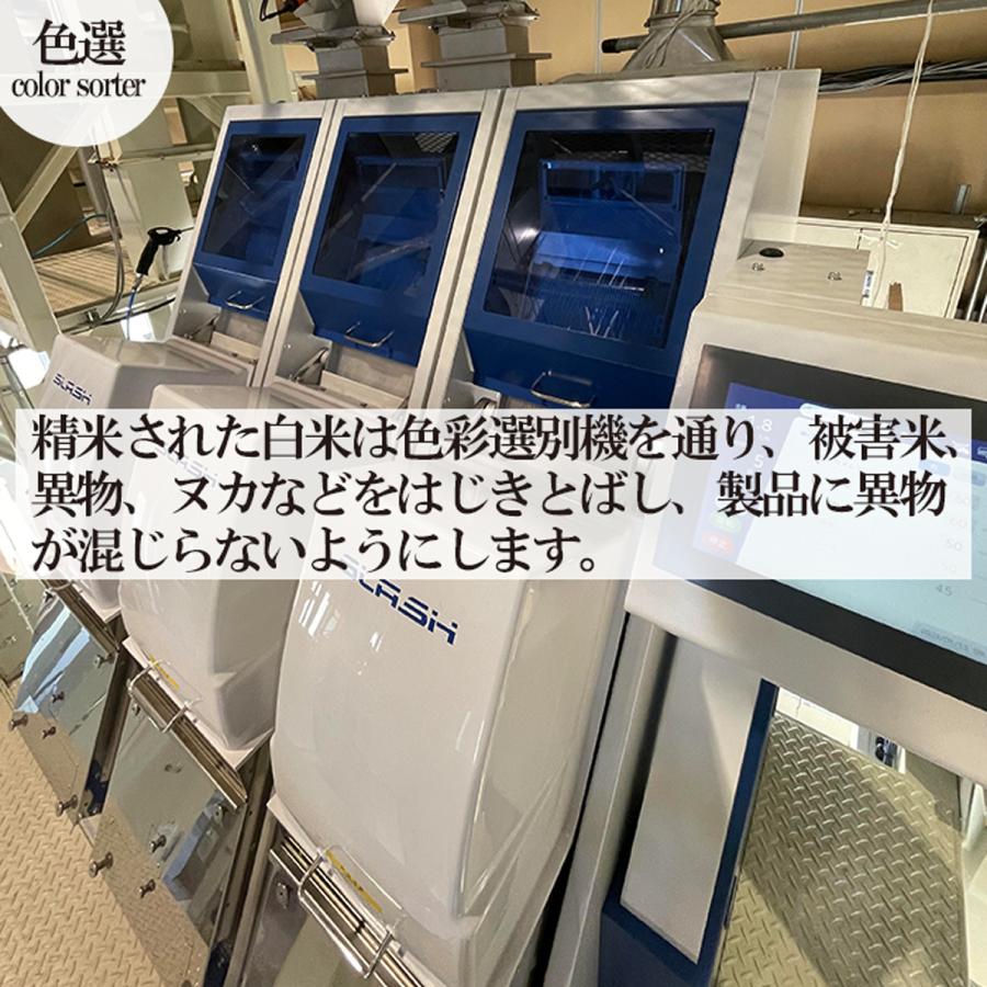 令和５年産 新潟米 もち米 新潟産こがねもち 精米5kg