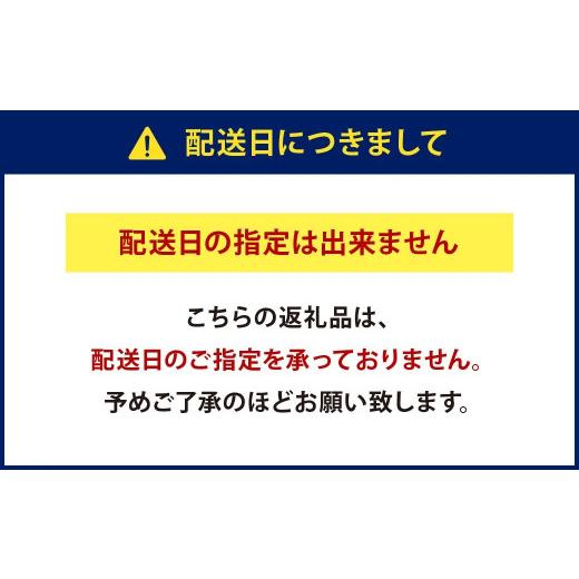 ふるさと納税 福岡県 北九州市 ボイル タラバガニ ハーフポーション Lサイズ 600g (スチロール入り)