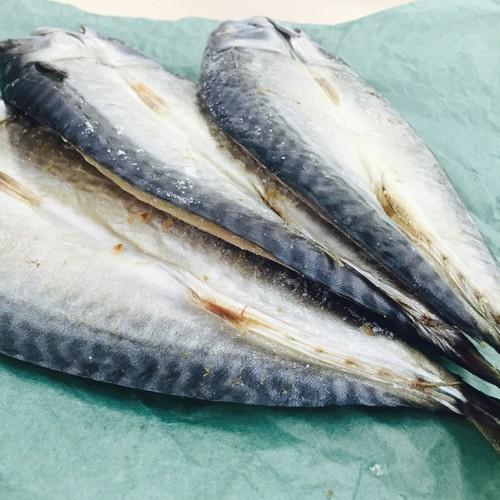 サバ開き 5枚 ふっくらジューシー鯖 さば 一夜干し さば開き 干物 サバ 開き魚 肴 乾物 簡単調理 贈答 お歳暮 お正月