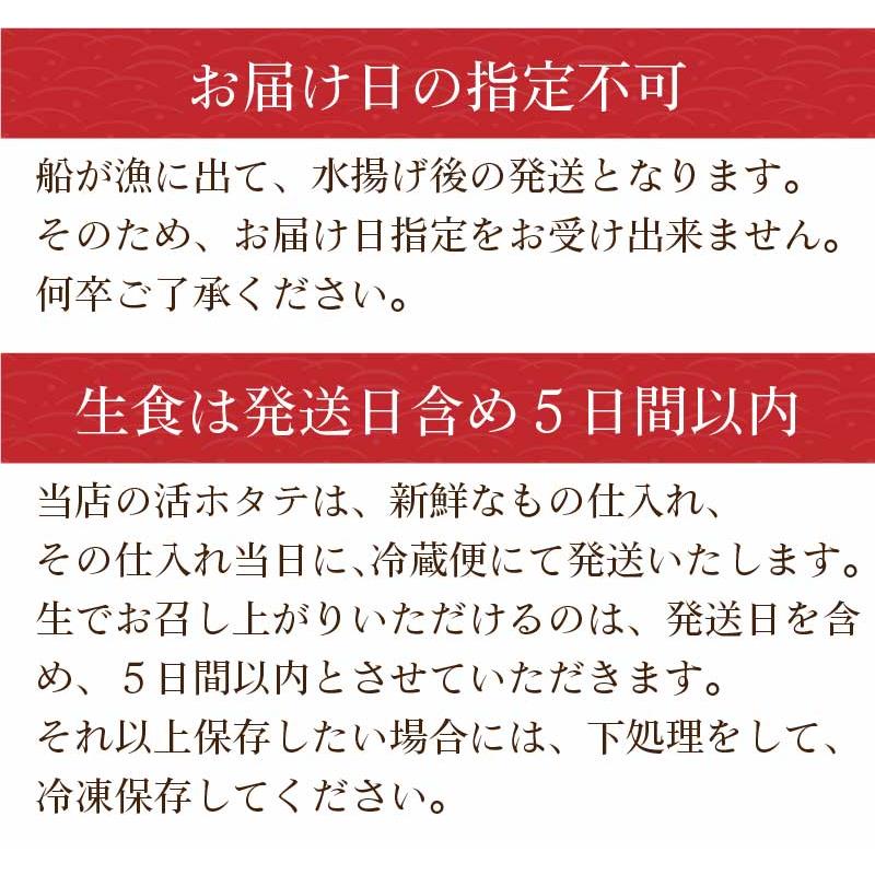 北海道産 活ホタテ 約2kg 北海道 支援 産地 直送 生 帆立 ほたて 天然 刺身 殻付き BBQ 生食OK ギフト プレゼント お歳暮 御歳暮 クリスマス