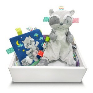 【MaryMeyer】帥浣熊經典禮盒  新生兒禮盒 彌月禮盒(標籤玩偶安撫巾+沙沙紙)