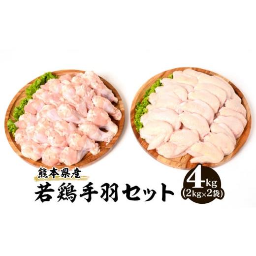 ふるさと納税 熊本県 八代市 熊本県産 若鶏手羽セット (手羽先・手羽元)各2kg 合計4kg