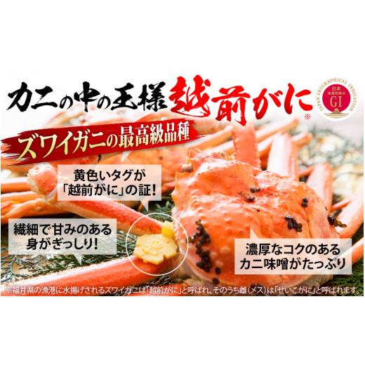 ふるさと納税 福井県 越前町 [e15-x007_02] 「訳あり 指折れ 越前がに（中）3杯」  「干しカレイ 6尾」 食べ方しおり かにスプーン付き【雄 ズワイガニ ずわい…