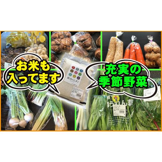 ふるさと納税 岩手県 雫石町 産地直送 季節の野菜とお米 詰め合わせ ／ 野菜 米 セット