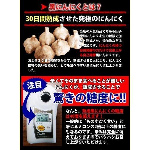 黒にんにく 青森 お試し用2玉分 約10日分 田子の黒 セール ポイント消化 送料無料