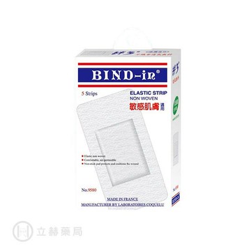 絆多 Bind-in 不織布透氣敷料 敏感肌膚適用 No.9580 (超大片) 5 片/盒 公司貨【立赫藥局】
