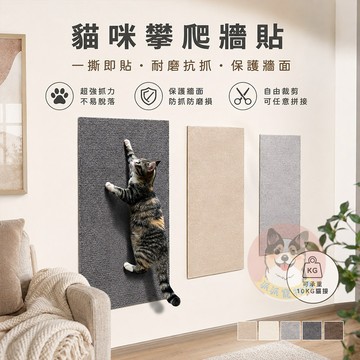 貓咪攀爬牆貼🐱 貓咪牆貼 貓抓板 貓抓墊 貓爬墊 防貓抓 沙發貼 牆角蹭毛器 耐磨 攀爬貼 摩爪 貓咪用品 貓用品 貼紙