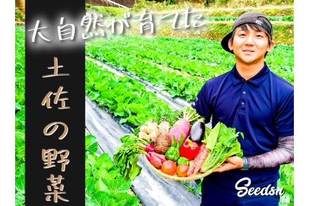 新鮮野菜BOX(味わいセット）8～12種