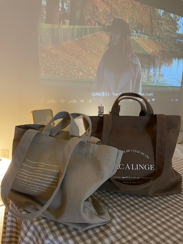 韓國 The Ally | Clair bag 클래어백 | 帆布環保袋 | 不含內袋